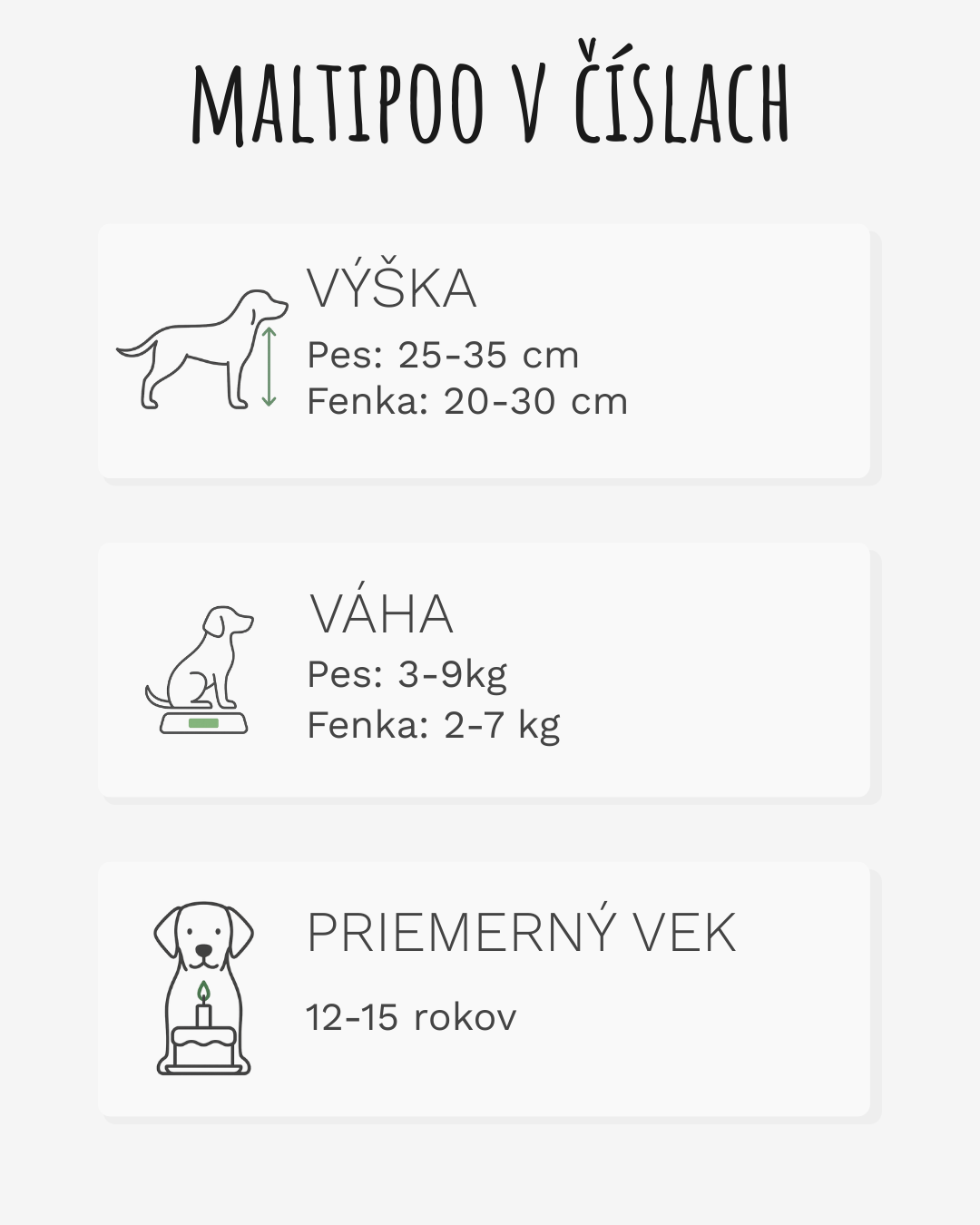 Maltipoo – základné informácie o plemene (mobilná verzia)